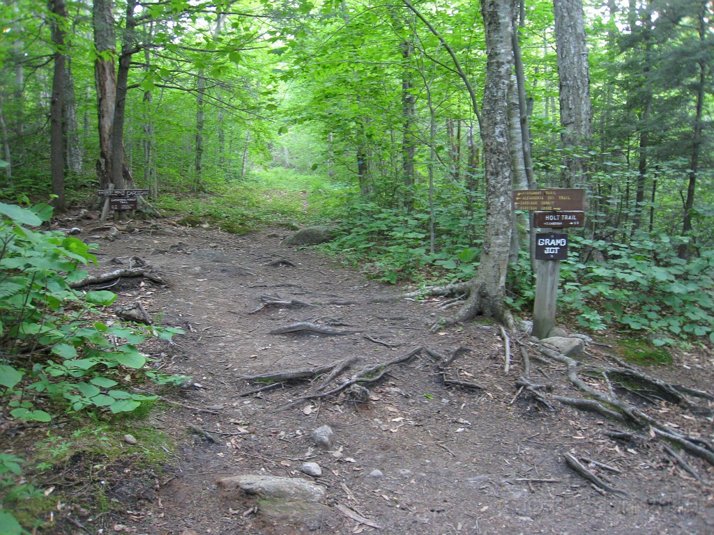 Mt Cardigan NH 2010 0370.jpg - Mt. Cardigan in New Hampshire. Summited on May 25, 2010. There are numerous trails to the peak... I had to pick the extremely difficult one. The views were worth it.